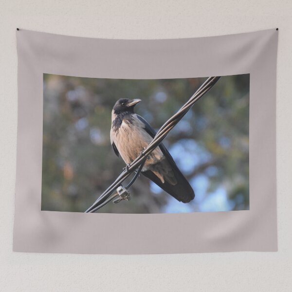 Item preview, Raven on a Wire designed and sold by DanaLauraPhoto.