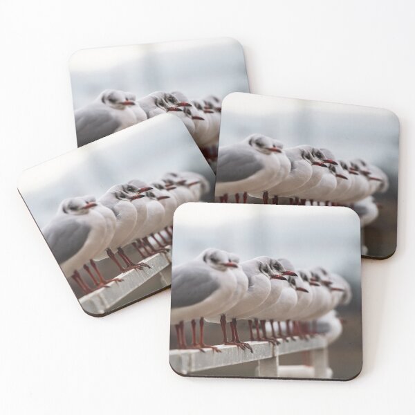 Item preview, Seagulls sit in a straight line on the docks of ships on the Rhine. Strasbourg. designed and sold by Alexander Sorokopud.