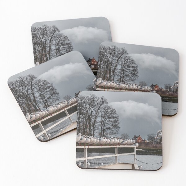 Item preview, Seagulls sit in a straight line on the docks of ships on the Rhine. Strasbourg. designed and sold by Alexander Sorokopud.