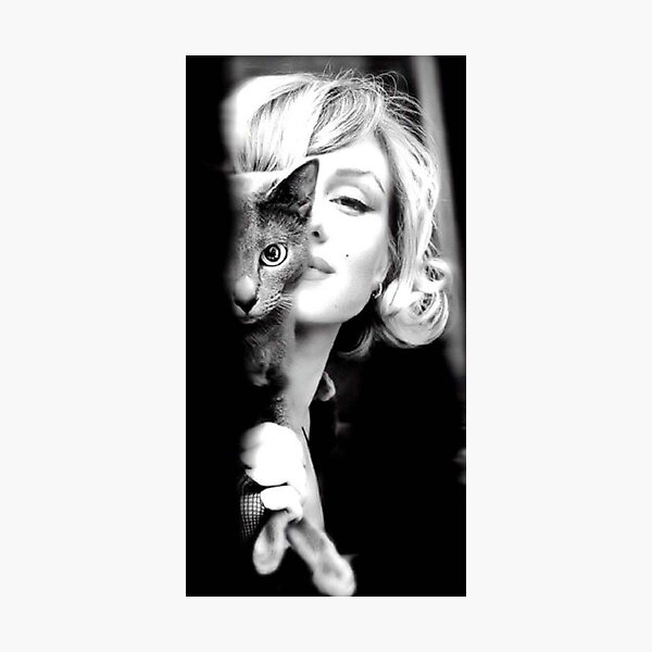 Marilyn Monroe mit Katze Fotodruck