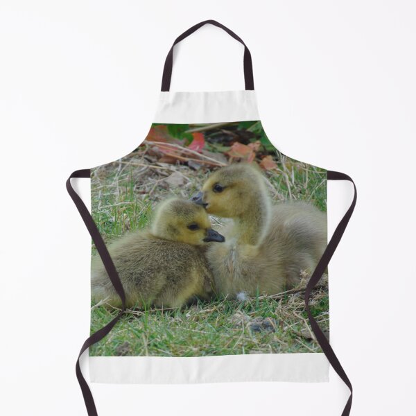 Item preview, Sibling Love - Canada Goose Goslings designed and sold by altonbear.