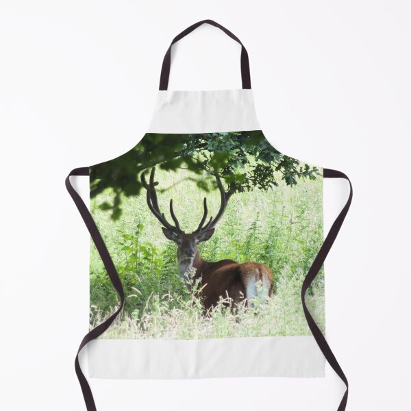 Item preview, The Young Pretender - Red Deer Stag designed and sold by altonbear.