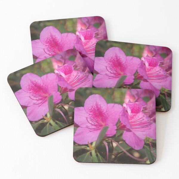 Item preview, close-up photo of two pink rhododendron flowers designed and sold by nataliavavilina.