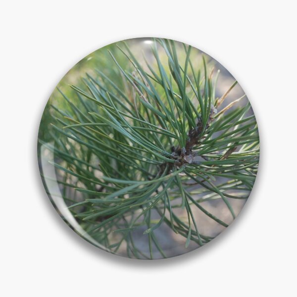 Item preview, Pine tree branch designed and sold by FancyCatShop.