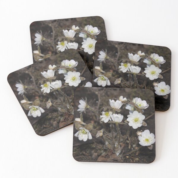 Item preview, small white flowers with yellow-green centers, on a brown background designed and sold by nataliavavilina.