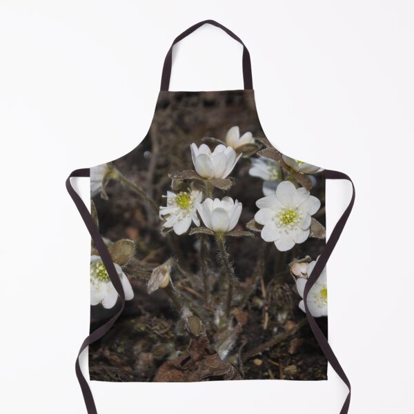 Item preview, small white flowers with yellow-green centers, on a brown background designed and sold by nataliavavilina.