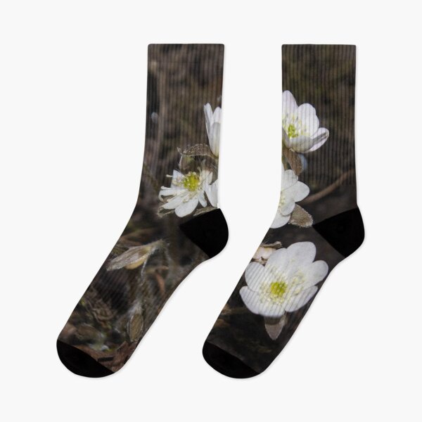 Item preview, small white flowers with yellow-green centers, on a brown background designed and sold by nataliavavilina.