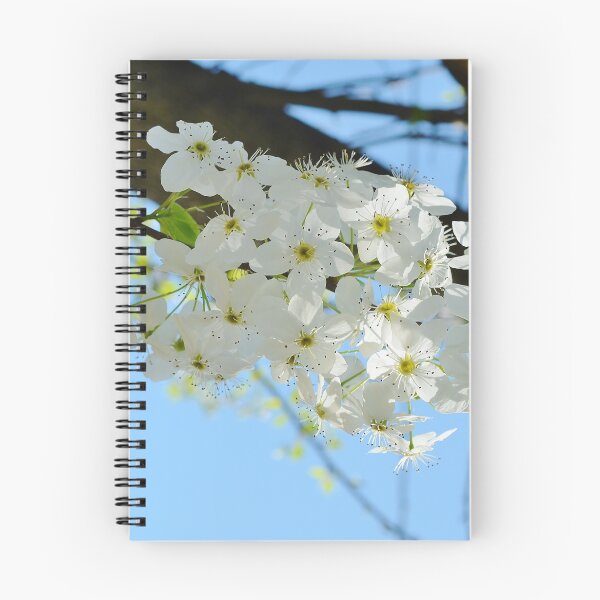 Item preview, Splendor in Springtime designed and sold by Scott Mitchell.