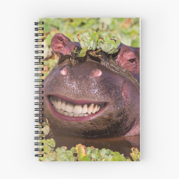 Item preview, laughing is healthy designed and sold by Ingo Gerlach.