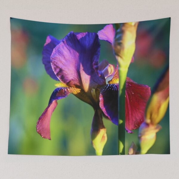 Item preview, Iris at Sunset designed and sold by cuprum.