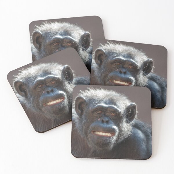 Item preview, Chimpanzee laughs and grins designed and sold by Ingo Gerlach.