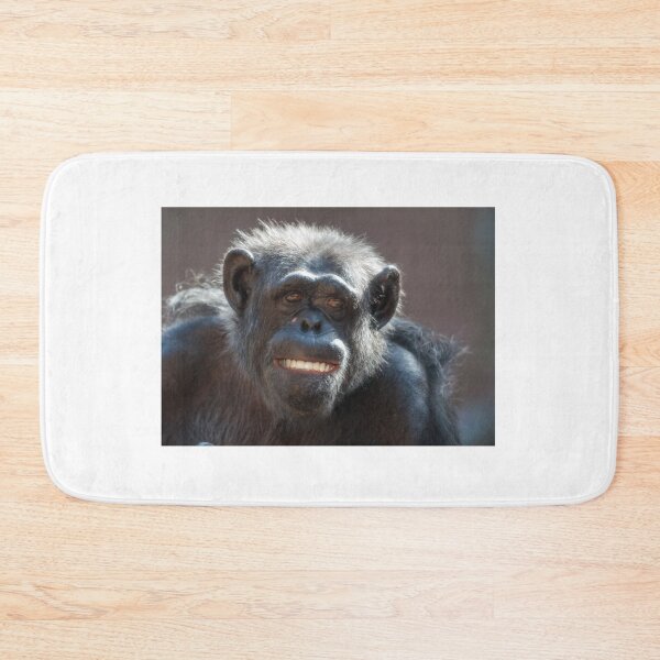Item preview, Chimpanzee laughs and grins designed and sold by Ingo Gerlach.