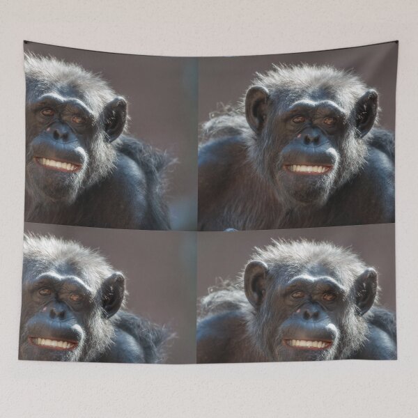 Item preview, Chimpanzee laughs and grins designed and sold by Ingo Gerlach.