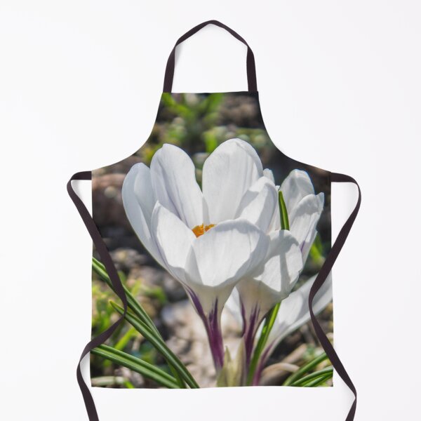 Item preview, close up photo of white crocus flowers illuminated by the spring sun designed and sold by nataliavavilina.