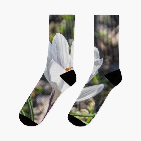 Item preview, close up photo of white crocus flowers illuminated by the spring sun designed and sold by nataliavavilina.