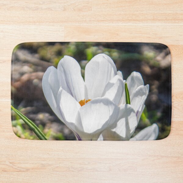 Item preview, close up photo of white crocus flowers illuminated by the spring sun designed and sold by nataliavavilina.