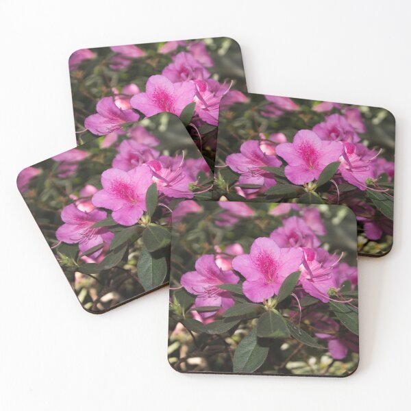 Item preview, close-up photo of three pink rhododendron flowers designed and sold by nataliavavilina.