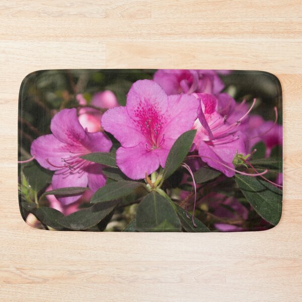 Item preview, close-up photo of three pink rhododendron flowers designed and sold by nataliavavilina.
