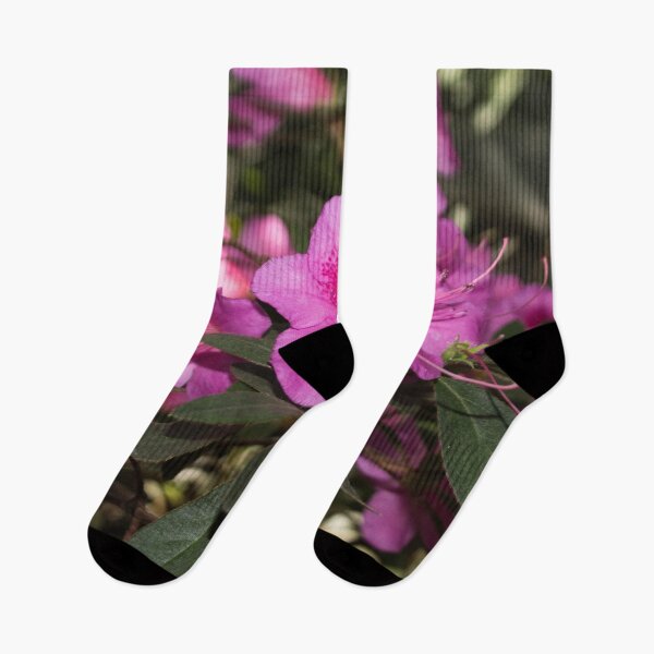 Item preview, close-up photo of three pink rhododendron flowers designed and sold by nataliavavilina.