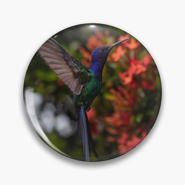 Item preview, Swallow tailed hummingbird frozen in flight designed and sold by Philip-Marsden.