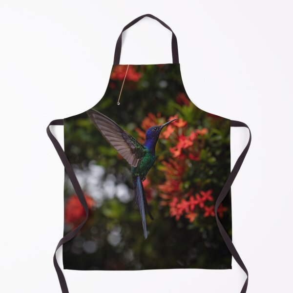 Item preview, Swallow tailed hummingbird frozen in flight designed and sold by Philip-Marsden.