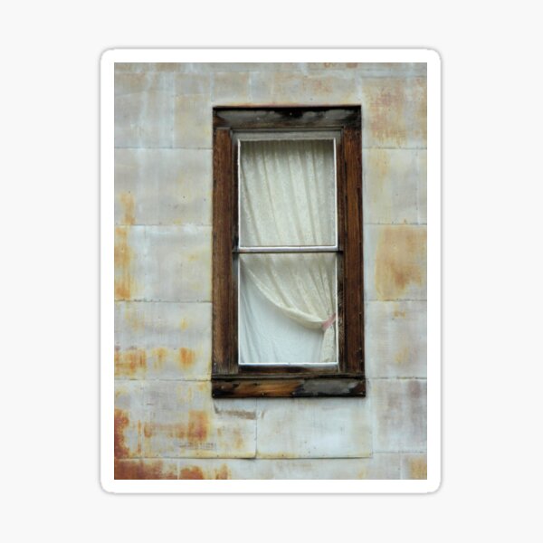 Item preview, Lace Curtain designed and sold by Kathleen Brant.