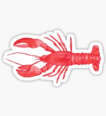 Watercolor Lobster Sticker