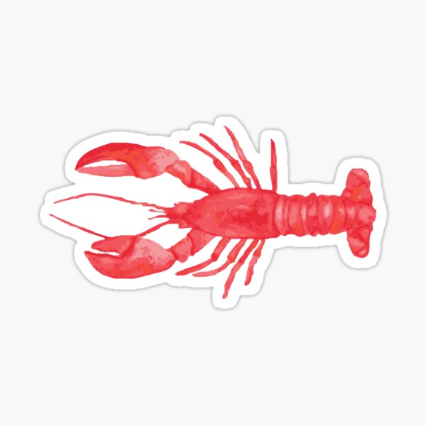 Watercolor Lobster Sticker