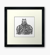 Armour Framed Print
