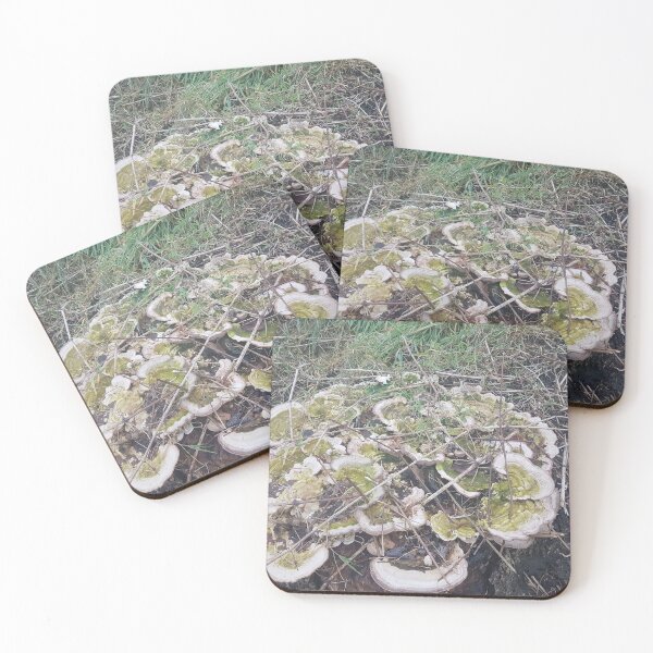 Item preview, Mushroom covered tree stump. designed and sold by Andrew Hopgood.