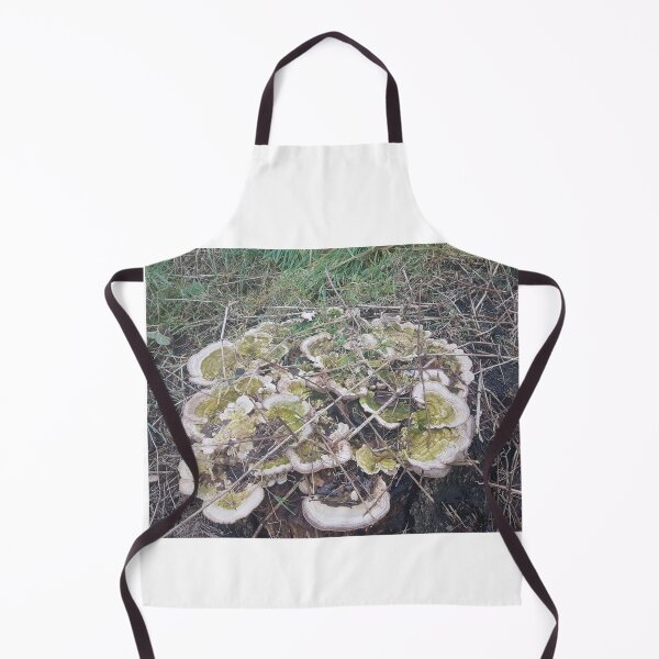 Item preview, Mushroom covered tree stump. designed and sold by Andrew Hopgood.