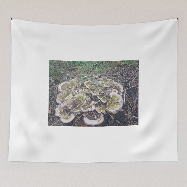 Item preview, Mushroom covered tree stump. designed and sold by Andrew Hopgood.
