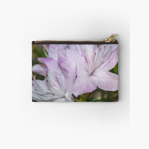 Item preview, three pale pink rhododendron flowers photo on a green background of foliage designed and sold by nataliavavilina.