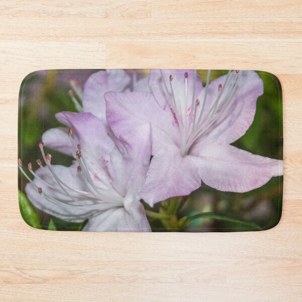 Item preview, three pale pink rhododendron flowers photo on a green background of foliage designed and sold by nataliavavilina.