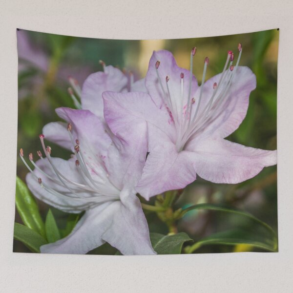 Item preview, three pale pink rhododendron flowers photo on a green background of foliage designed and sold by nataliavavilina.