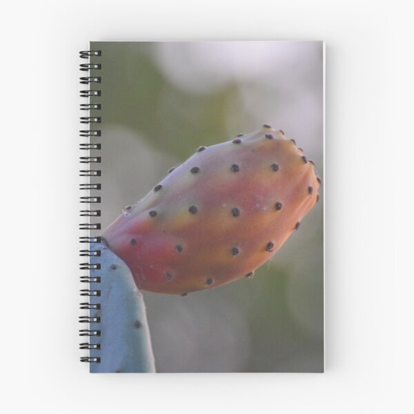 Item preview, Sabra designed and sold by DanaLauraPhoto.