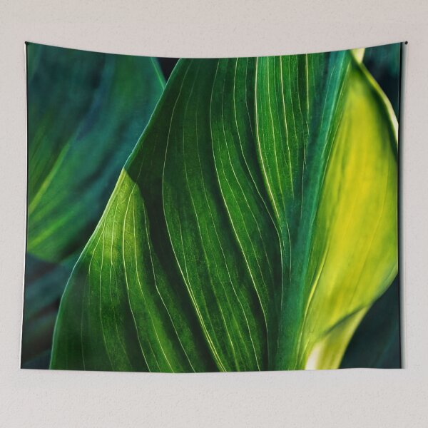 Item preview, Cabbages & Kings designed and sold by Steve Walser.