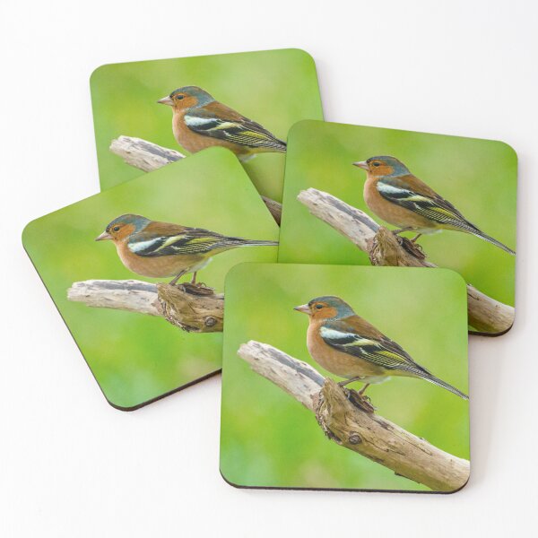 Item preview, The Chaffinch designed and sold by Dalyndigital Photography.