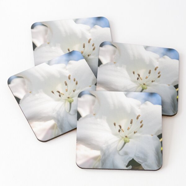 Item preview, white rhododendron flower with stamens, macro photo designed and sold by nataliavavilina.