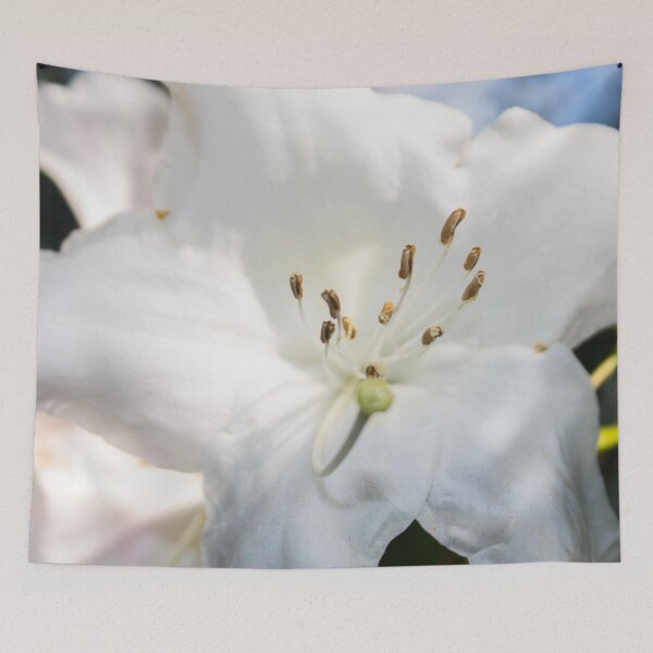 Item preview, white rhododendron flower with stamens, macro photo designed and sold by nataliavavilina.