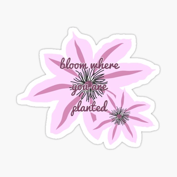 bloom where you are planted Sticker