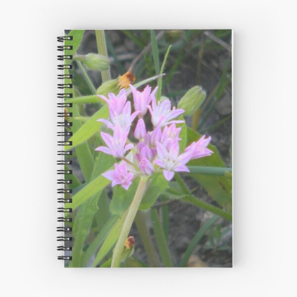 Item preview, Wild Garlic Blooms designed and sold by Navigator.
