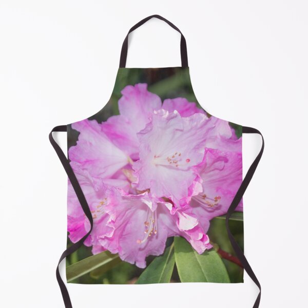 Item preview, white pink rhododendron flower with stamens, macro photo designed and sold by nataliavavilina.