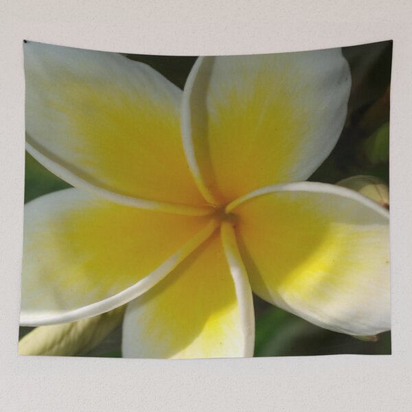Item preview, Frangipani Tote Bag ,Throw Pillow, Cushion Duvet, print  designed and sold by ginnymac.