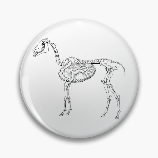 Item preview, Horse skeleton designed and sold by mxc412.
