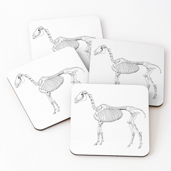 Item preview, Horse skeleton designed and sold by mxc412.