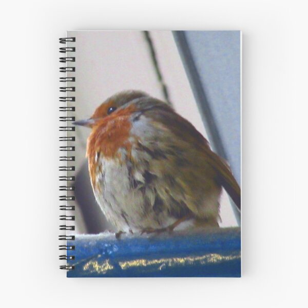Item preview, Little Robin. designed and sold by Andrew Nawroski.