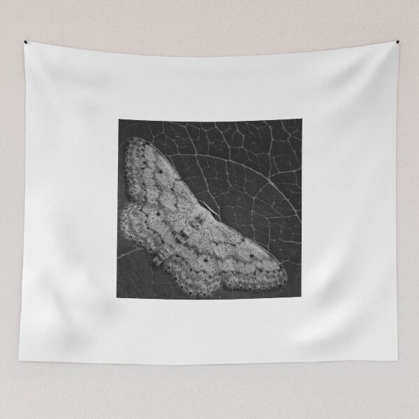 Item preview, coffeemoth designed and sold by Zyklotrop.