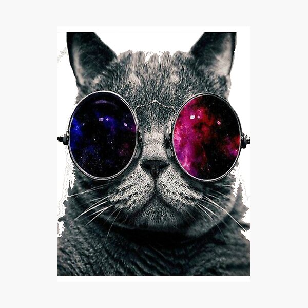 Lunettes De Galaxie Chat Pas Le Mien Par Jess Oyo Redbubble