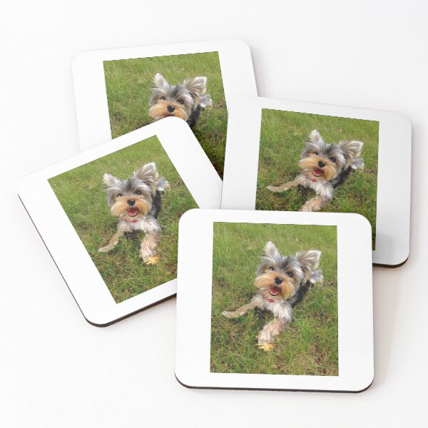 Item preview, Cute Yorkie Puppy Photo designed and sold by rachelhaak.